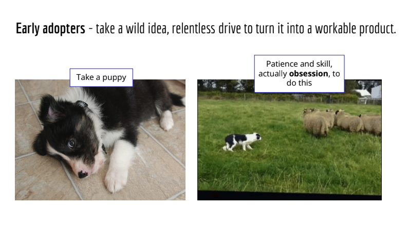 a slide titled ‘Early adopters - take a wild idea, relentless drive to turn it into a workable product’. Left side photo of a black and white sheepdog puppy titled ‘take a puppy’. Right side photo of a mature sheepdog herding sheep titled ‘Patience and skill actually obsession, to do this’.